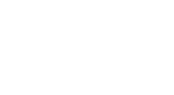 Polar Logo (Footer)